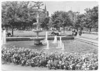 Springbrunnen auf dem Platz der Jugend - 1981
