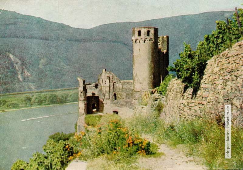 Ruine Ehrenfels am Rhein - 1954
