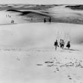 In den Wanderdünen der Wüste Gobi - 1981