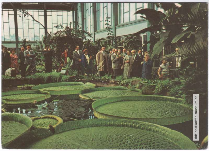 Tierpark Berlin, Tropenhalle im Alfred-Brehm-Haus (Dr. Dathe und Dr. Ullrich) - 1966
