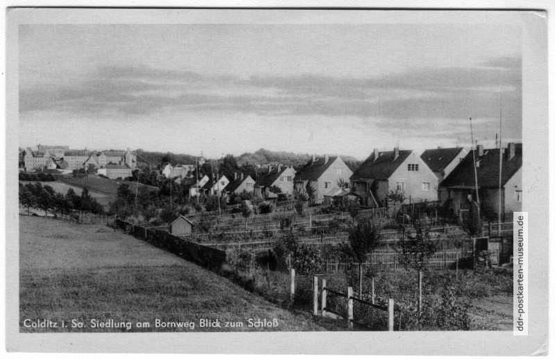 Siedlung am Bornweg mit Blick zum Schloß - 1953