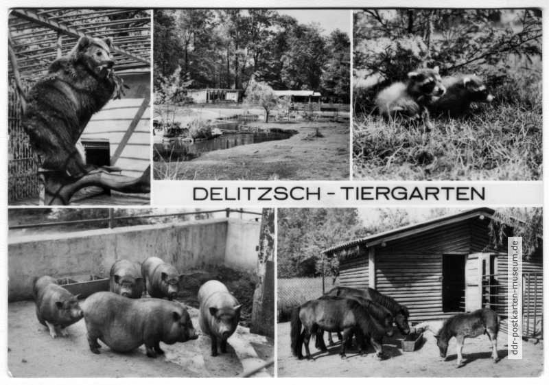 Tiergarten Delitzsch - 1977