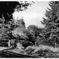 Harzquerbahn bei Drei Annen Hohne - 1985