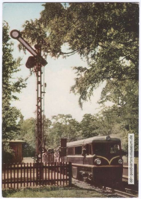 Pioniereisenbahn im Großen Garten - 1966