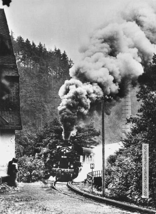Dampflok 86 001 mit Sonderzug in Zirkel (Erzgebirge) - 1982