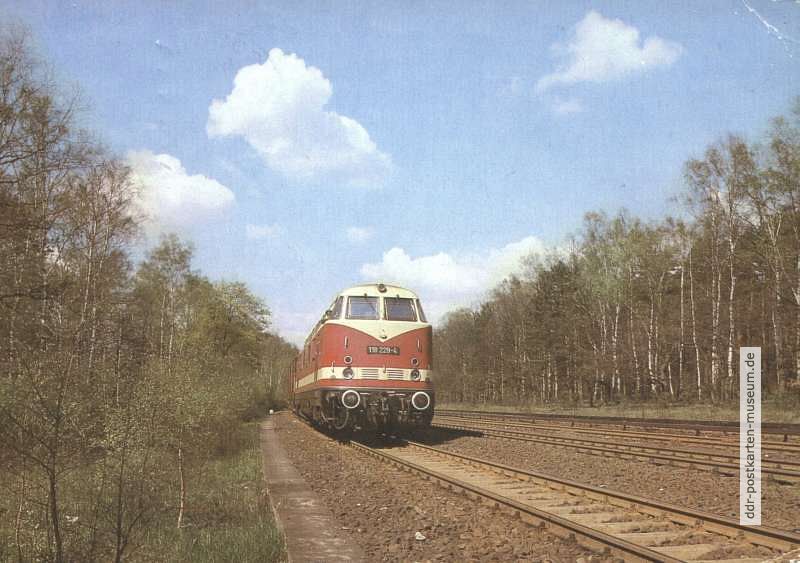 Diesellokomotive 118 229-4 - 1985