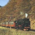 Harzquerbahn mit Lok 997241-5 bei Netzkater (Südharz) - 1988