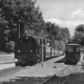 Zwei "Mollys" begegnen sich am Bahnhof Heiligendamm - 1975