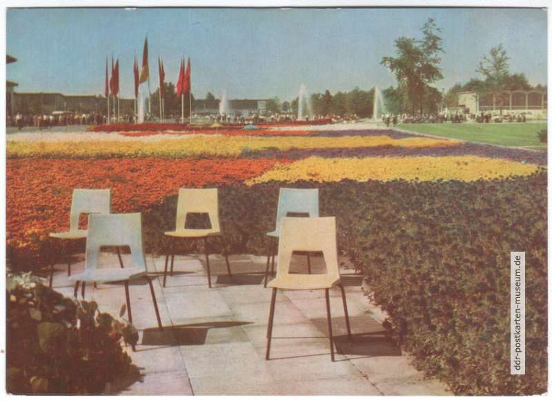 IGA, Blick über die große Sommerblumenwiese - 1966