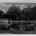 Teich am Magdeburger Tor - 1952