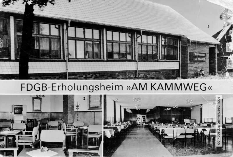 Neustadt-Kammweg-2.JPG