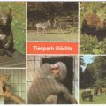 Tierpark Görlitz, Plastik "Kleiner Bär" - 1980
