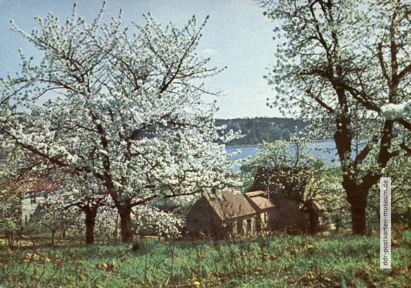 Rückseite: Herzliche Pfingstgrüße - 1967