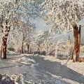 Winter bei Jöhstadt - 1951