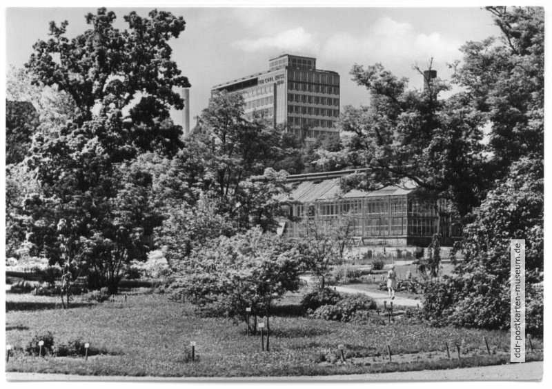 Botanischer Garten, im Hintergrund das Zeiss-Hochhaus - 1972