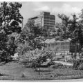 Botanischer Garten, im Hintergrund das Zeiss-Hochhaus - 1972