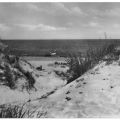 Dünen am Strand - 1961
