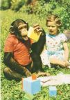 Mädchen und Affe spielen im Berliner Tierpark - 1964