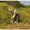 Karte aus Kinderkalender, Teddy gräbt ein Loch - 1957