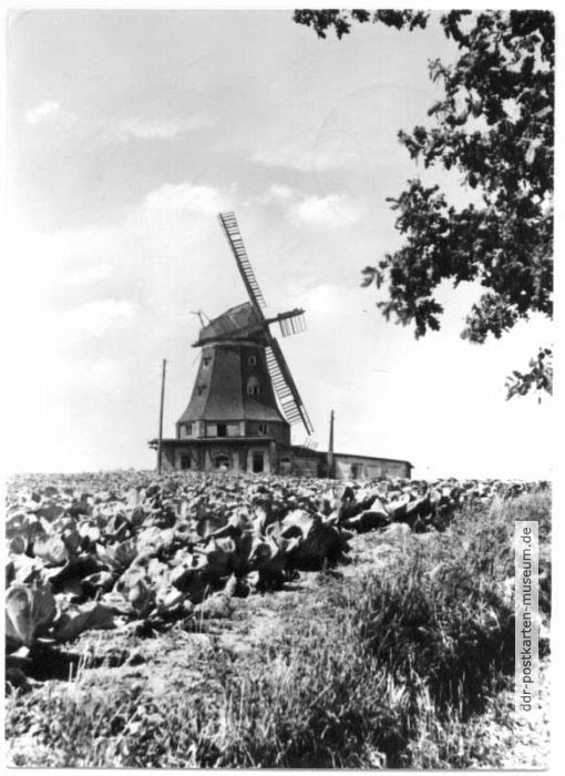 Windmühle - 1977