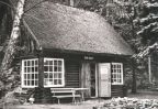 Das kleinste Museum der DDR: Waldmusum in Stendenitz bei Neuruppin