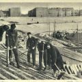 Historischer Schnappschuß vom Aufbaueinsatz der FDJ im späteren Walter-Ulbricht-Stadion in Berlin - 1950