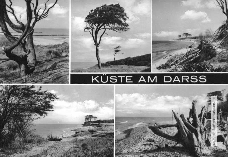 Küste am Darss - 1974