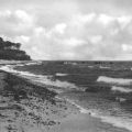 Am Strand des Darß - 1965