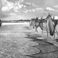 Netze am Fischerstrand von Prerow - 1962
