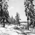 Winter im Erzgebirge bei Geyer - 1964