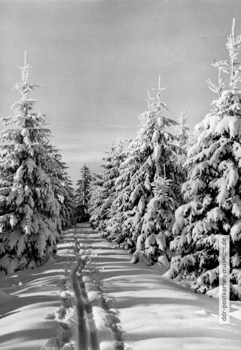 Winter im Harz - 1971