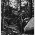 Hohneklippen bei Drei-Annen-Hohne - 1957