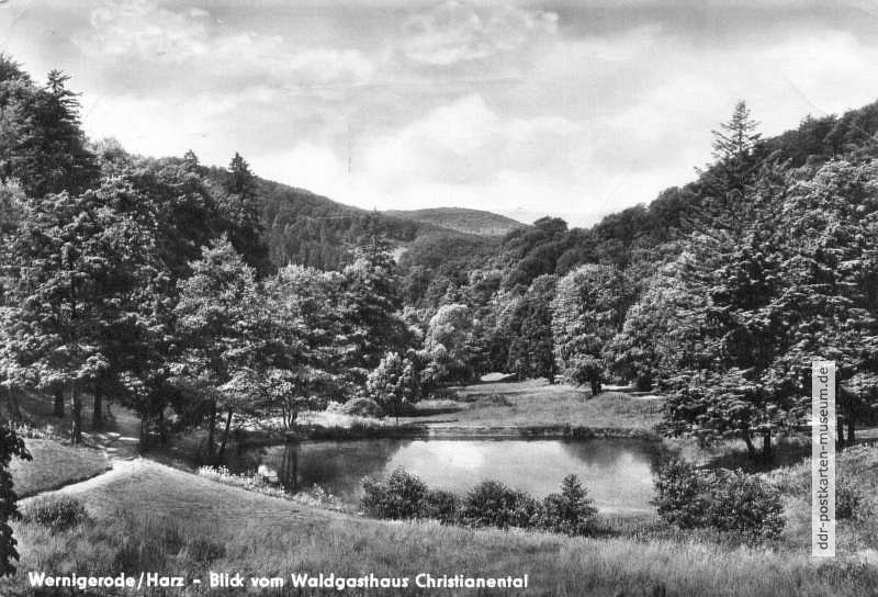 Blick vom Waldgasthaus Christianental - 1963