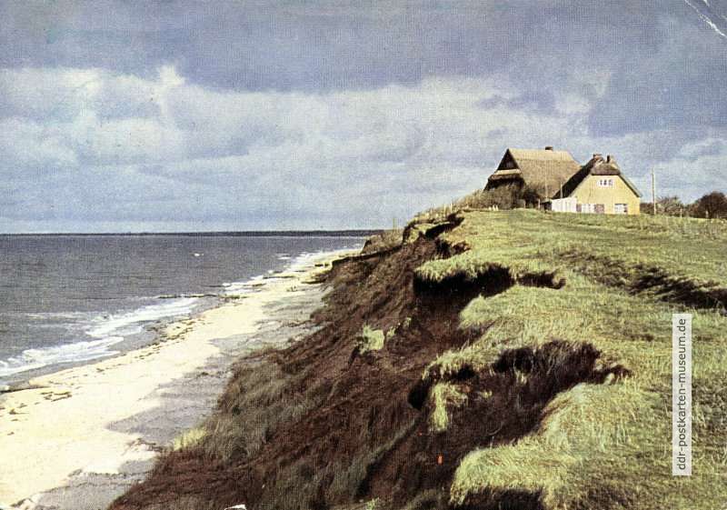 Steilküste "Hohes Ufer" bei Ahrenshoop (Fischland) - 1956