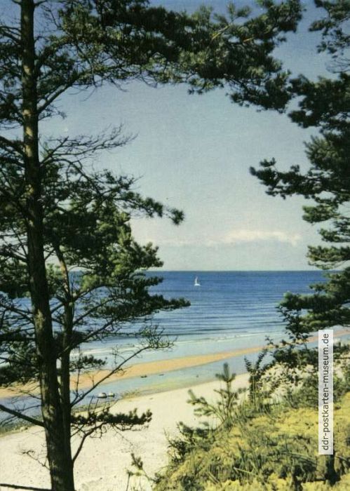 Steilküste im Norden der Insel Usedom - 1972