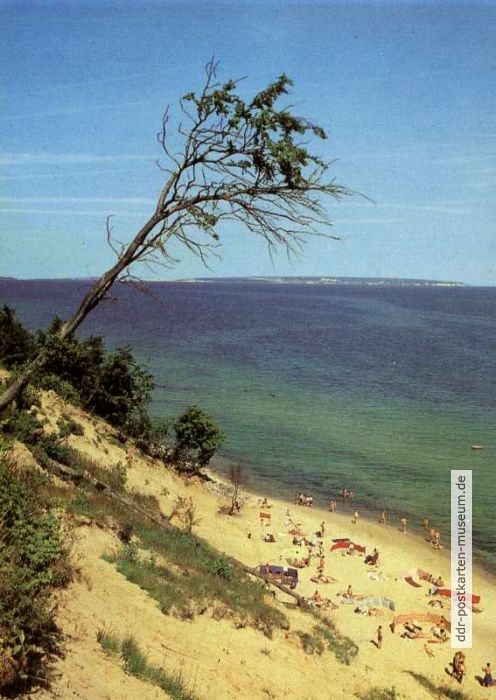 An der Ostseeküste zwischen Sellin und Baabe - 1981