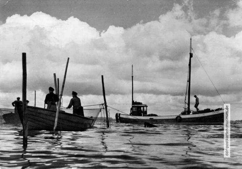 Ostseefischer auf dem Bodden zwischen Rügen und Hiddensee - 1980
