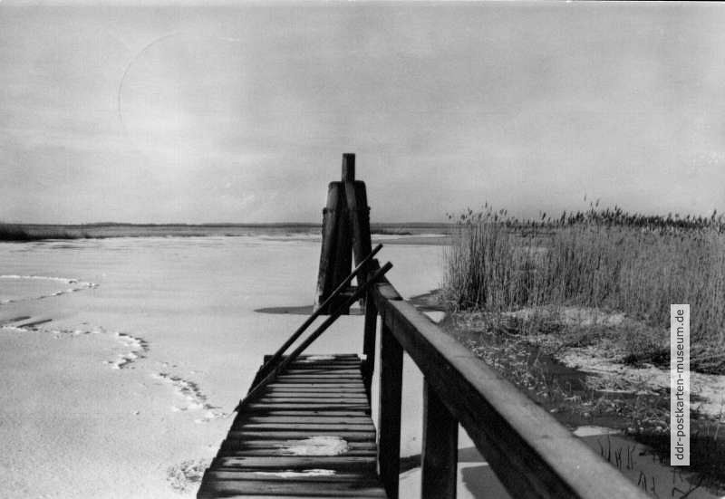 Winter an der Ostsee - 1969