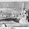 Der Schneekopf mit Gehlberger Hütte - 1953
