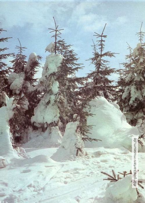 Winter im Thüringer Wald - 1980
