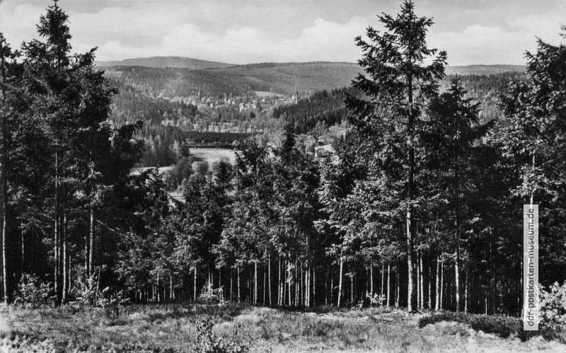 Blick vom Oberen Vogtland nach Bad Elster - 1956
