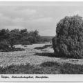 Naturschutzgebiet, Steinfelder bei Lietzow - 1953