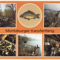 Moritzburger Karpfenfang - 1989