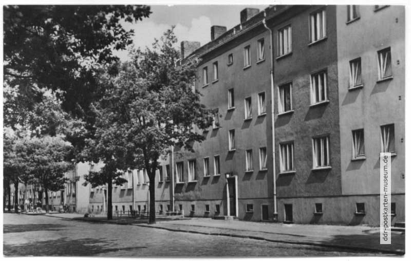AWG-Siedlung in der Krebsstraße - 1963