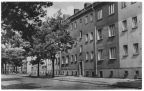 AWG-Siedlung in der Krebsstraße - 1963