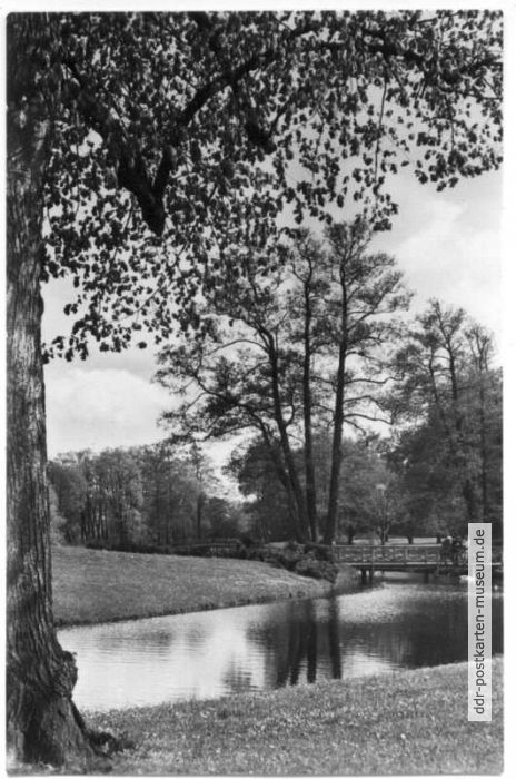 Wassergraben im Park Sanssouci - 1962