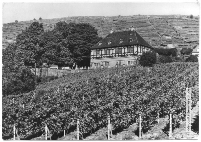 Schloß Hoflößnitz im Weinanbaugebiet - 1981