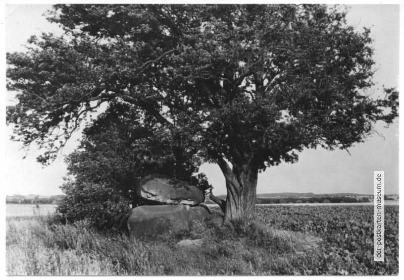 Hünengrab bei Rerik - 1963