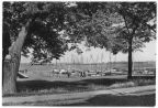 Seglerhafen am Bodden - 1961