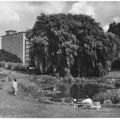 Botanischer Garten mit Seerosenteich, Haus der Hochseefischer - 1965